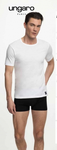 CAMISETA BASICA ALGODON